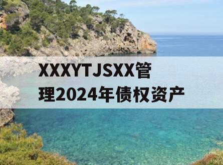 XXXYTJSXX管理2024年债权资产