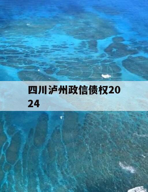 四川泸州政信债权2024