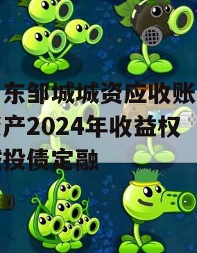 山东邹城城资应收账款资产2024年收益权城投债定融