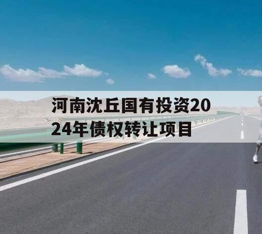 河南沈丘国有投资2024年债权转让项目