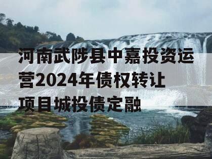 河南武陟县中嘉投资运营2024年债权转让项目城投债定融