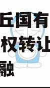 河南沈丘国有投资2024年债权转让项目城投债定融