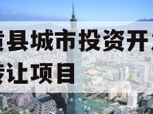 内黄县城市投资开发债权转让项目