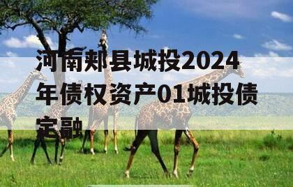 河南郏县城投2024年债权资产01城投债定融