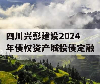 四川兴彭建设2024年债权资产城投债定融