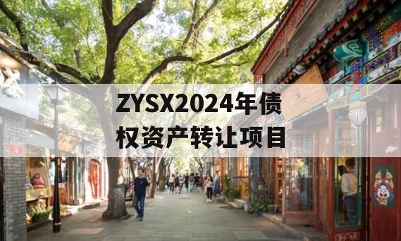 ZYSX2024年债权资产转让项目