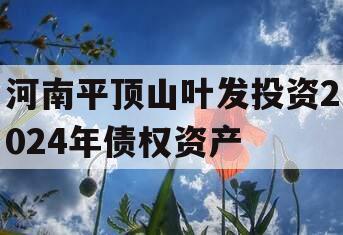 河南平顶山叶发投资2024年债权资产