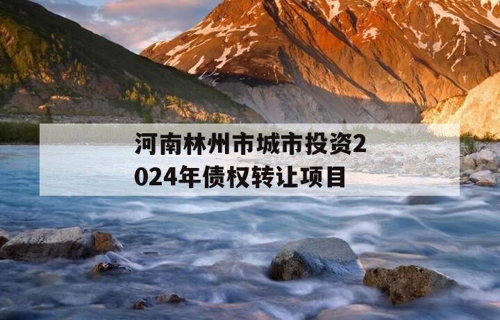 河南林州市城市投资2024年债权转让项目