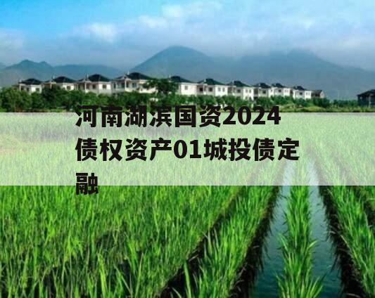 河南湖滨国资2024债权资产01城投债定融