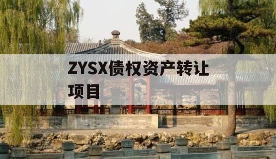 ZYSX债权资产转让项目