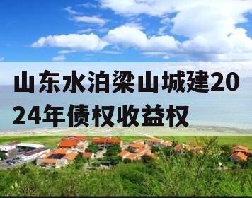 山东水泊梁山城建2024年债权收益权