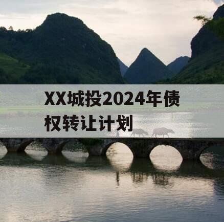 XX城投2024年债权转让计划