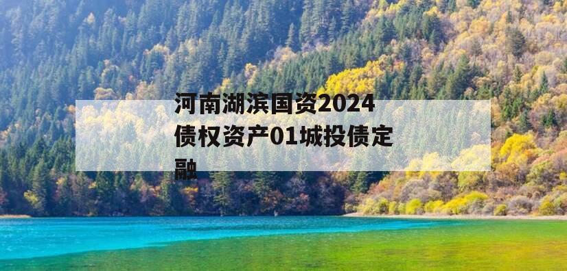 河南湖滨国资2024债权资产01城投债定融