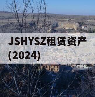 JSHYSZ租赁资产(2024)