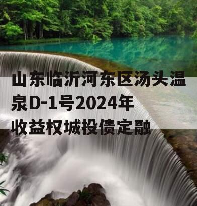 山东临沂河东区汤头温泉D-1号2024年收益权城投债定融