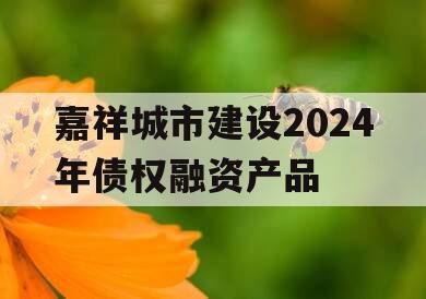 嘉祥城市建设2024年债权融资产品