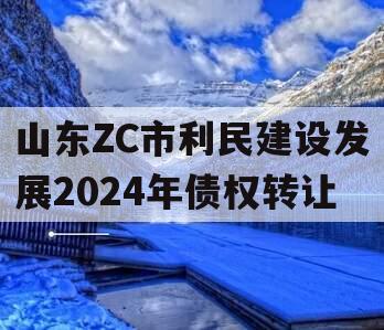 山东ZC市利民建设发展2024年债权转让