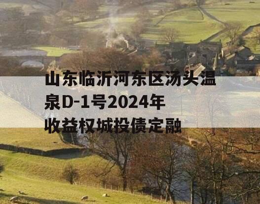 山东临沂河东区汤头温泉D-1号2024年收益权城投债定融