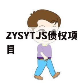 ZYSYTJS债权项目