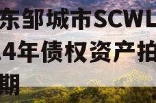 山东邹城市SCWL2024年债权资产拍卖二期