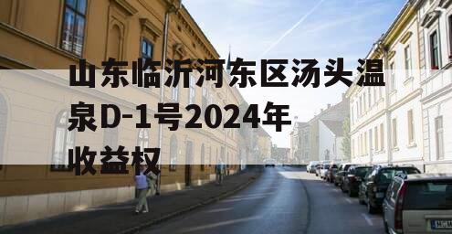 山东临沂河东区汤头温泉D-1号2024年收益权