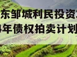 山东邹城利民投资2024年债权拍卖计划项目