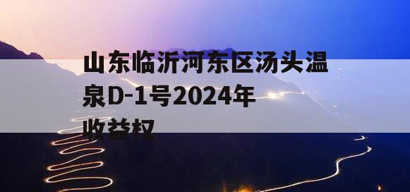 山东临沂河东区汤头温泉D-1号2024年收益权