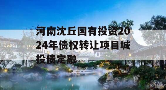 河南沈丘国有投资2024年债权转让项目城投债定融