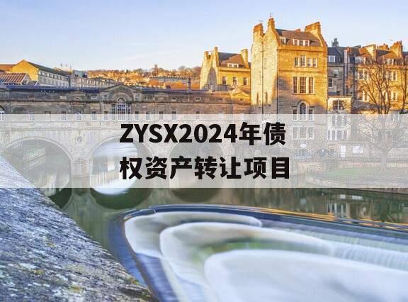 ZYSX2024年债权资产转让项目