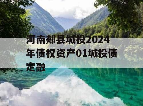 河南郏县城投2024年债权资产01城投债定融