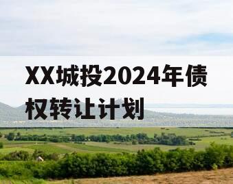 XX城投2024年债权转让计划