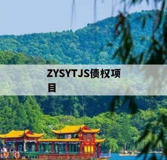 ZYSYTJS债权项目