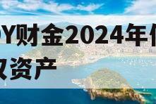 DY财金2024年债权资产