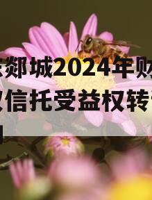 山东郯城2024年财产权信托受益权转让及回购