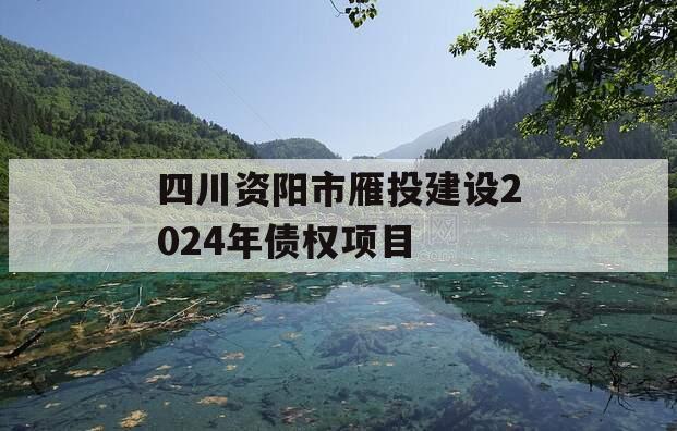 四川资阳市雁投建设2024年债权项目