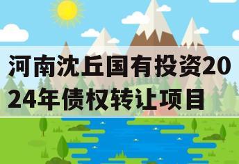 河南沈丘国有投资2024年债权转让项目