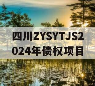 四川ZYSYTJS2024年债权项目