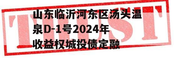 山东临沂河东区汤头温泉D-1号2024年收益权城投债定融