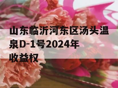 山东临沂河东区汤头温泉D-1号2024年收益权