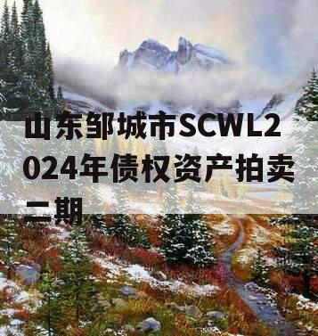 山东邹城市SCWL2024年债权资产拍卖二期