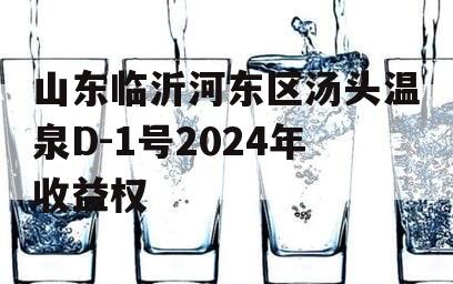 山东临沂河东区汤头温泉D-1号2024年收益权