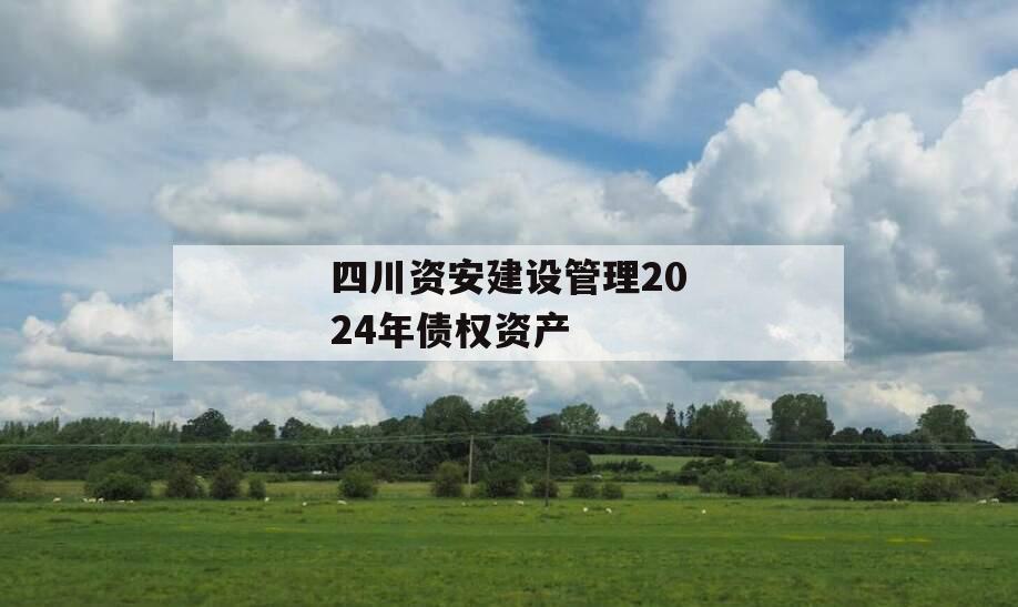 四川资安建设管理2024年债权资产