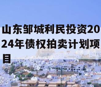 山东邹城利民投资2024年债权拍卖计划项目