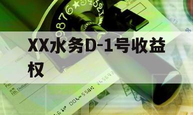 XX水务D-1号收益权