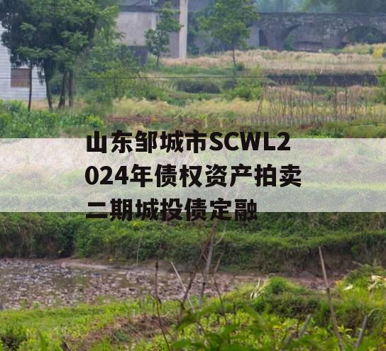 山东邹城市SCWL2024年债权资产拍卖二期城投债定融