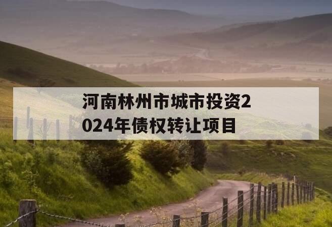 河南林州市城市投资2024年债权转让项目