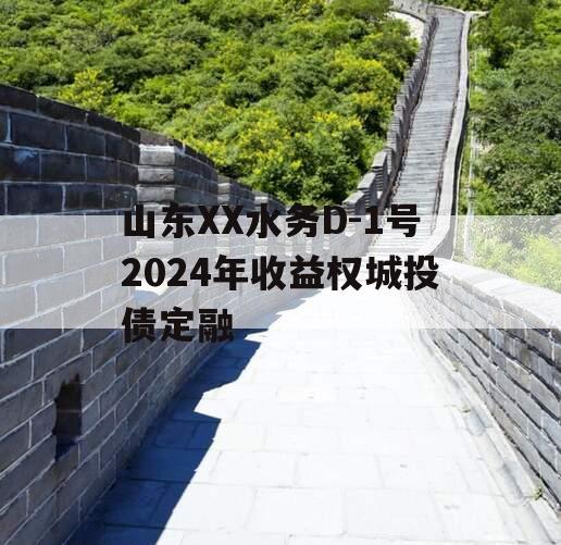 山东XX水务D-1号2024年收益权城投债定融