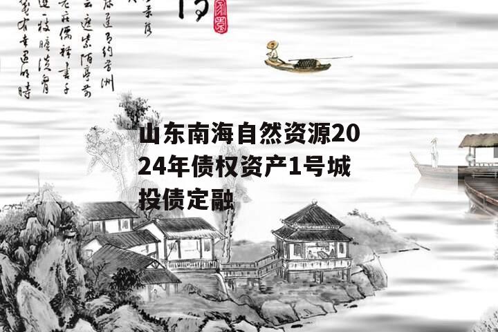 山东南海自然资源2024年债权资产1号城投债定融