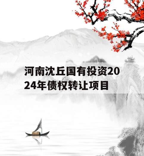 河南沈丘国有投资2024年债权转让项目