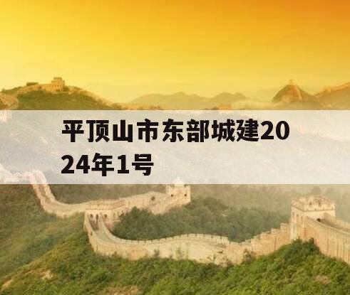 平顶山市东部城建2024年1号